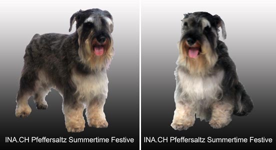 INA.CH.Pfeffersaltz Summertime Festive