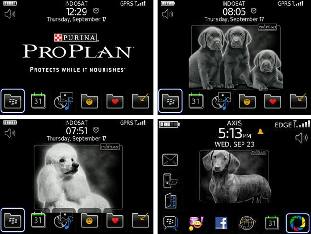 Wallpaper Dari PURINA Untuk BlackBerry�