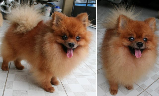 Berto Von Terate (Mex)