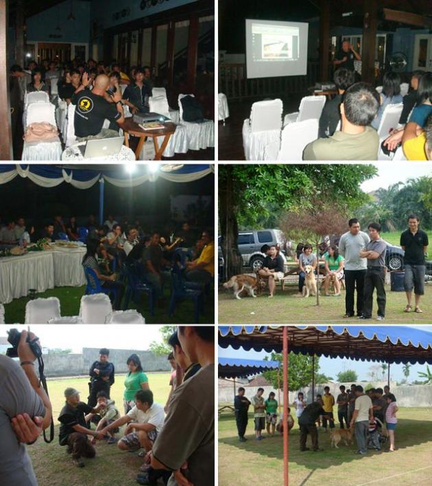 Tingginya Antusias Penggemar Anjing Pintar di SUMUT