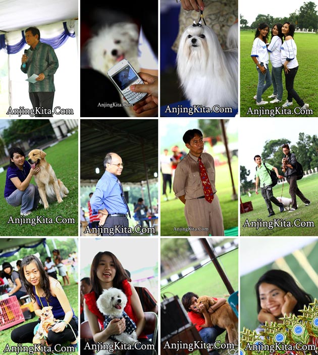 Full Support Panglima Agar Medan Bangkit Kembali !!!