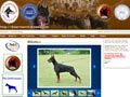 Situs Resmi Klub Dobermann Indonesia