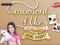Moment Of Us Dog Event