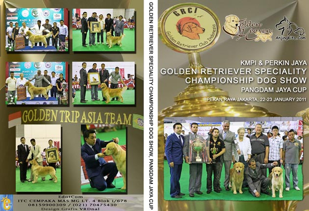 Video Pameran Trah Golden Retriever