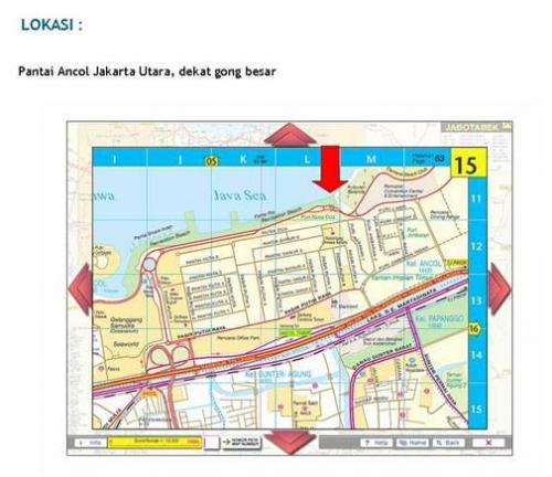 Ancol Rough Collie Gathering