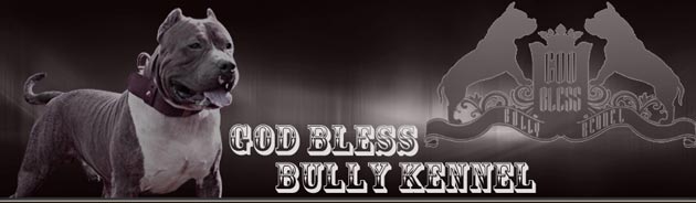 God Bless Bully