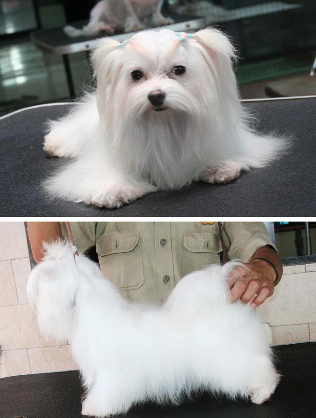 Treasure Nebula Stone