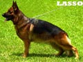 Lasso Vom Prinzenssin