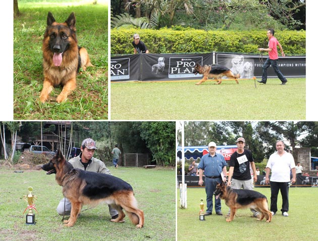 Noel von Spitzen Traum