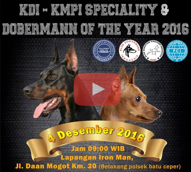 KDI - KMPI Speciality & Dobermann Of The Year 2016