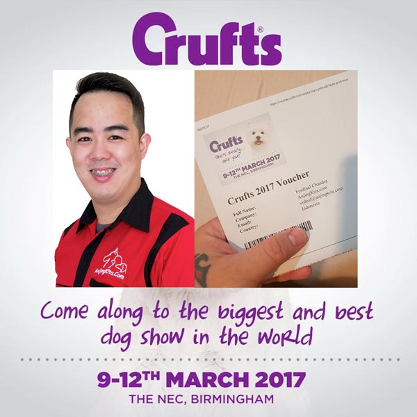 AnjingKita.Com Meliput Cruft Dog Show 2017