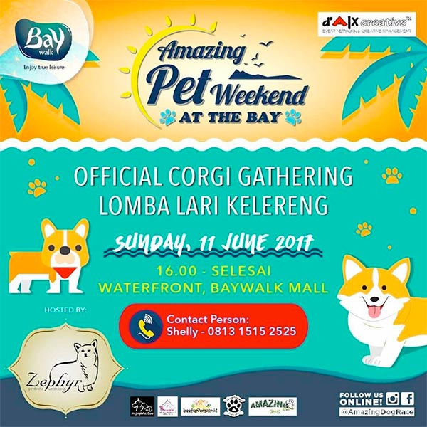 Corgi Lovers Gathering @Pluit