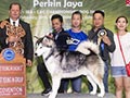 Foto & Video Pameran Perkin Jaya 