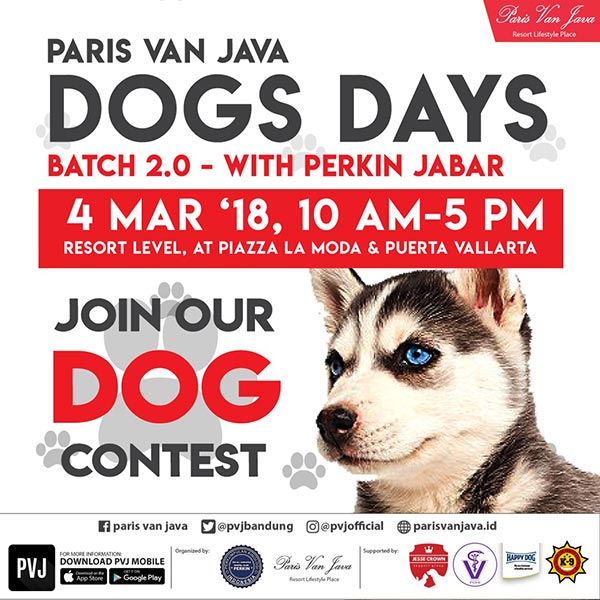 DOGS DAY Batch 2 is Back