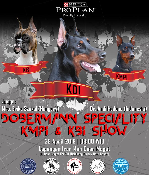 Pameran Anjing Dobermann Boxer Pinscher Jakarta