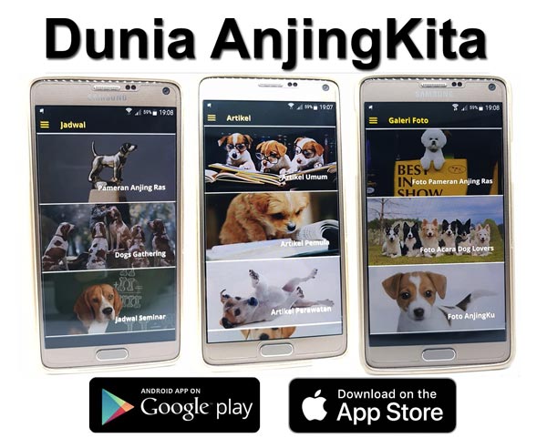 Aplikasi Android & iOS Untuk AnjingKita.Com