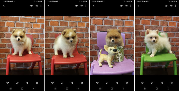 Jual Pom Supermini Murah