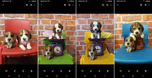 Jual Beagle Super Murah