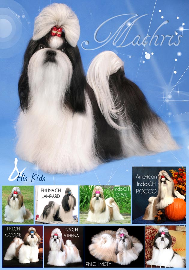 Creative item Lister 