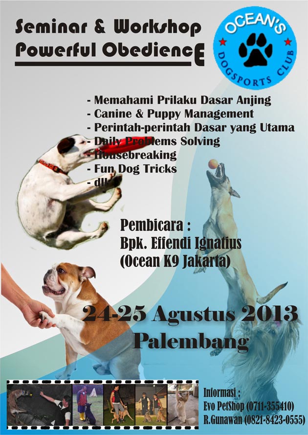 Seminar & Workshop: Powerful Obedience