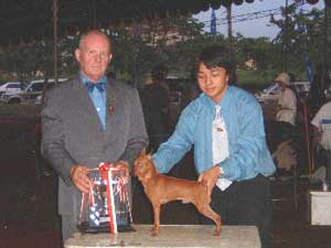 VON WINNER MINIATURE PINSCHERS