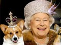 10 Fakta Keren Tentang Corgi