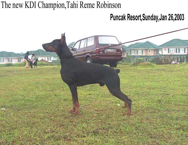 Ina.Ch.Tahi Reme Robinson