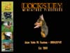 Locksley Miniature Pinschers