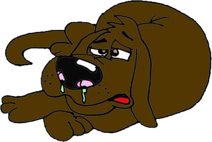 Pencegahan & Penanganan Pilek Pada Anjing