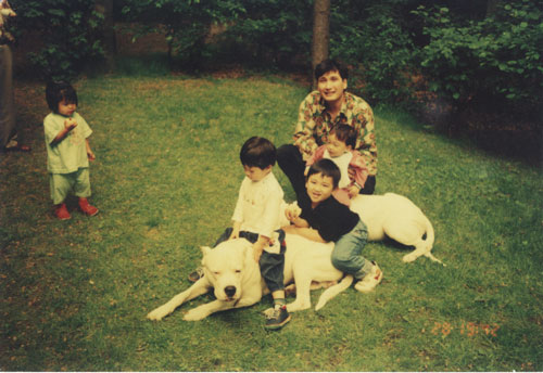 Anjing Dogo Argentino