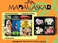 Madagaskar Pet Centre & Flora Gallery  