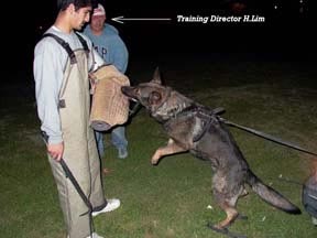 Latihan Bersama H.Lim Schutzhund Club USA
