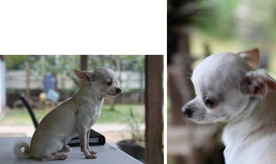 Foto Kenzie Von Ray Rainbow