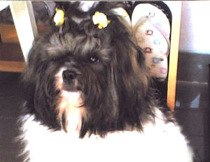 Cherokee Von Ellizta