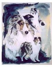 Ancol Rough Collie Gathering