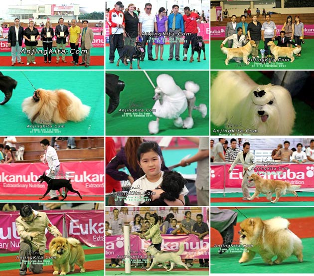 1380 Foto Pameran Perkin Jaya