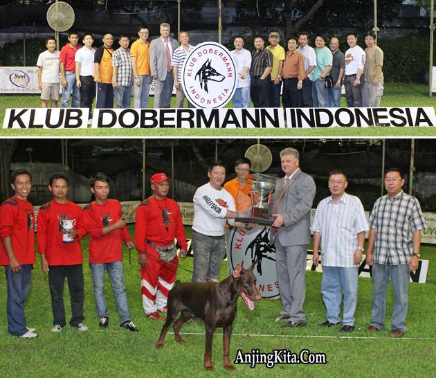 330 Foto-Foto Liputan Dobermann Nasional 2011