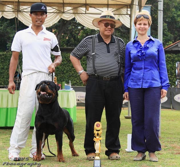 201 Foto-Foto Liputan KRI Jaya