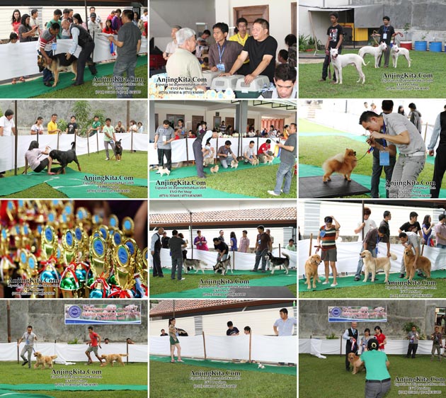 Pameran Perdana Palembang