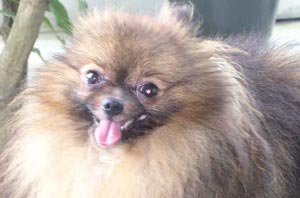 Amazing Grace New Wave