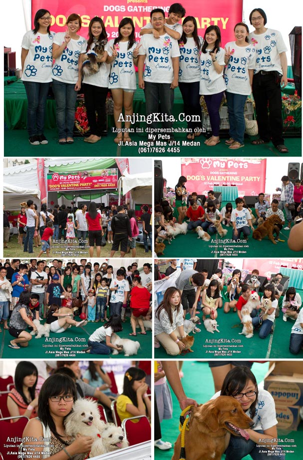 Valentinan Bareng Doggie Kesayangan