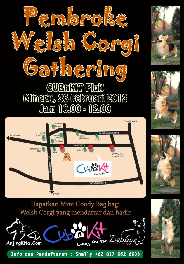 Pembroke Welsh Corgi Gathering
