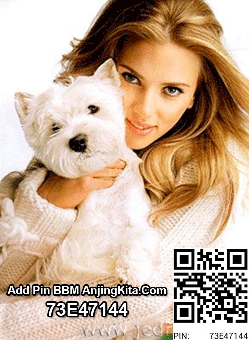 Add Pin BB AnjingKita.Com