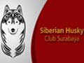 Gathering Husky Club Surabaya Yang Pertama