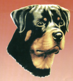 Pameran Trah Rottweiler KRI Jawa Barat