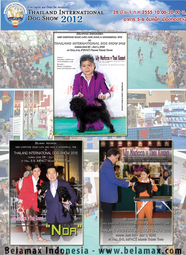 AnjingKita.Com Meliput Thailand International Dog Show 2012
