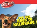 ALPO-DOG RUN 