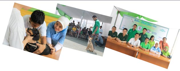 One Step Ahead For Dog & Human Bonding