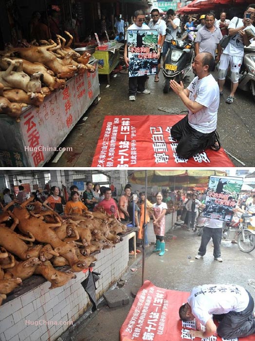 Demo Menentang Konsumsi Daging Anjing Di Cina