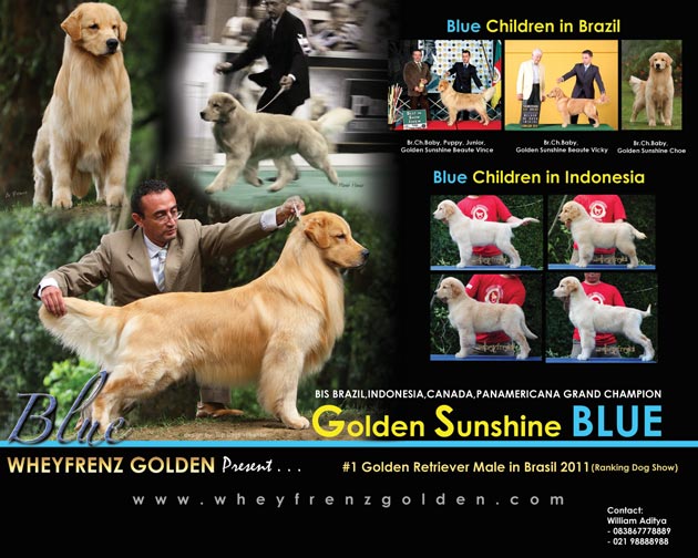 MBIS. Braz. Can. Ina. PanAm. GR CH GS Blue